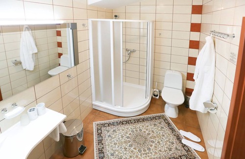 Panevezys Hotel | Smelyne