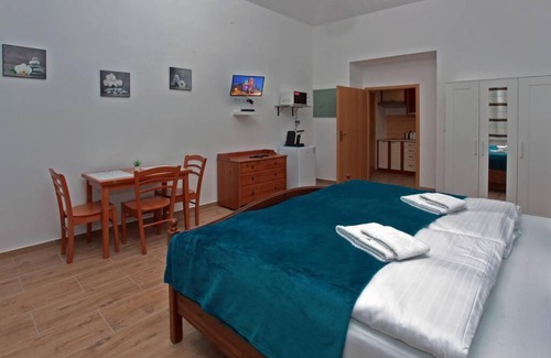 Prague 7 Apartment | Smeralova apartments 103/A