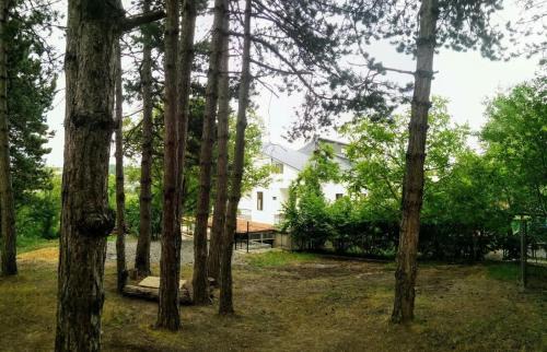 Tsromi House | Smiths house