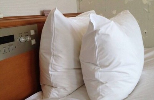 Yoshioka Onsen Hotel | Smoking Main building single without meals/Tottori Tottori