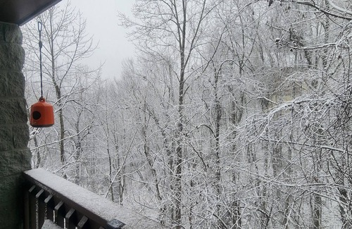 Chalet Village Condo | Smoky Mountain Getaway. Close to Ober Mtn. 2.7 miles from the Gatlinburg strip.