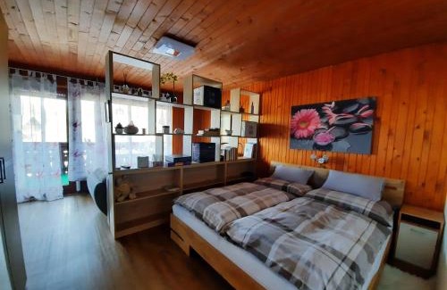 Bohinjska Bistrica Apartment | Snežak (Snowman) 2
