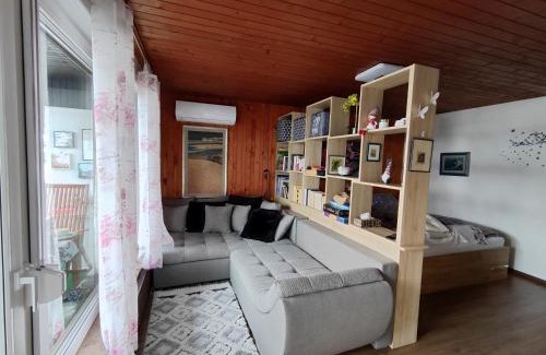 Bohinjska Bistrica Apartment | Snežak (Snowman) 2