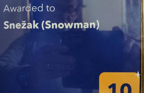 Bohinjska Bistrica Apartment | Snežak (Snowman)