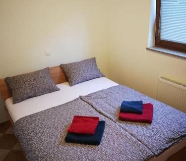 Zuzemberk Apartment | Snoopy House