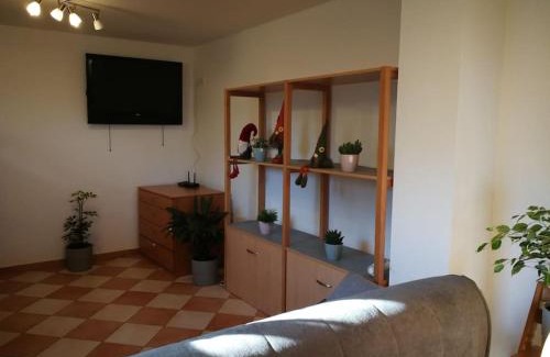 Zuzemberk Apartment | Snoopy House