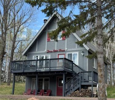 Bessemer House | Snow Otter Haus - 2