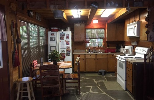 Scranton Cabin | SNOW'S LOG CABIN ON LAKE DARDANELLE ON DUBLIN BAY ๐๐ฆ