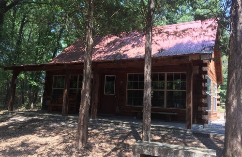 Scranton Cabin | SNOW'S LOG CABIN ON LAKE DARDANELLE ON DUBLIN BAY ๐๐ฆ