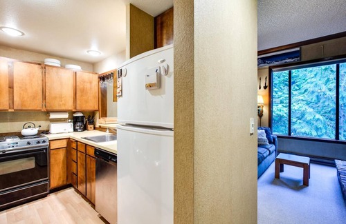 Glacier Condo | Snowater Condo #59 - Wi-Fi - Sleeps 6