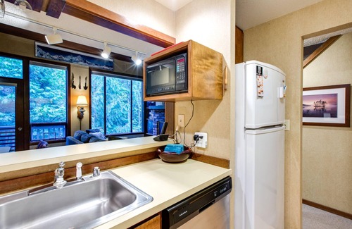 Glacier Condo | Snowater Condo #59 - Wi-Fi - Sleeps 6