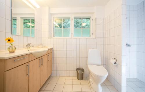 Borre House | Snowwhites House