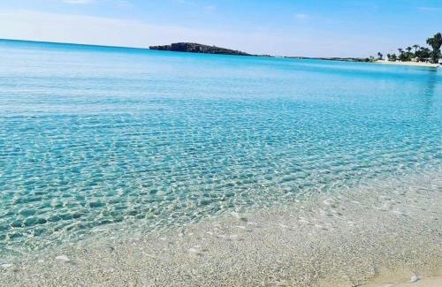 Ayia Napa Resort | So White Beach Resort