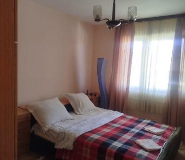 Donji Milanovac Apartment | Sobe Jacević
