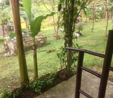 Dimiao House | Sobral Rice Terraces View
