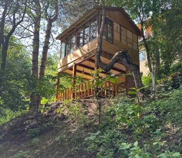 Shahumyan Hotel | Sochiner Hotel