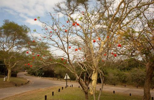 Sodwana Bay House | Sodwana Bay Lodge House 58