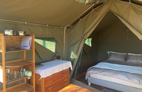 Maanhaarand Other | Soetvlei Tented Camp