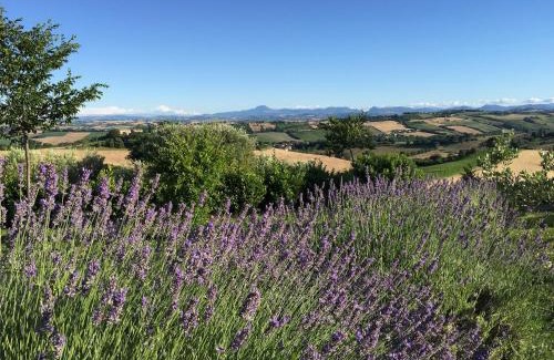 Ripe House | Solea Relais di Charme- Adults only