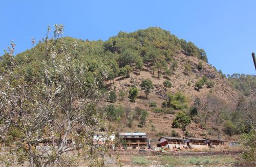 Kathmandu Hotel | Solid Rock - Lodge & Restaurant