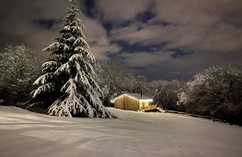 Bingley Cabin | Solitude - 5 Star - Pet Friendly - Hot Tub - Scandinavian Log Cabin