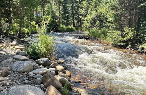 Lyons Cabin | Solitude-Cabin A: Riverside 3 Bdrm+/Private Deck & Fire Pit/40 mins From Boulder