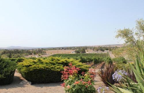 Paso Robles House | Solitude I