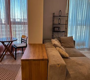 Calarasi Apartment | Solomon Dendrarium park view apartment
