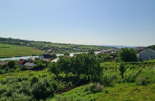 Nord-Est Apartment | Somad Apartment