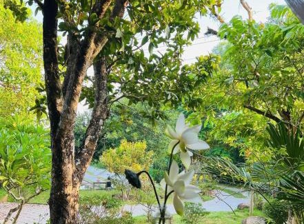 Hue Cabin | Son Home Garden