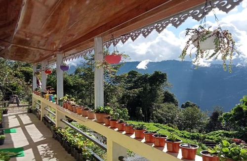 Lebong and Mineral Spring Tea Garden House | Sona Homestay by StayApart