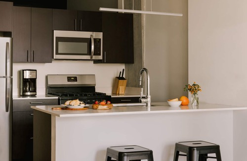 South Loop Apartment | Sonder South Wabash | Superior Two-Bedroom Apartment w/Balcony City View