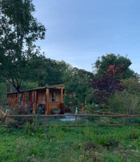 Caernarfon Ski Chalet | Songbird Lodge - Near brew pub/10 mins from Snowdon