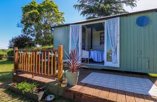 High Halden House | Songbirds