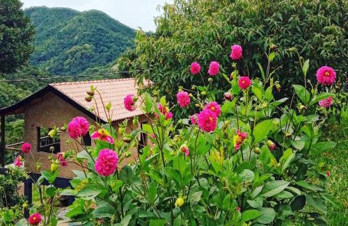 Goncalves House | Sonho na Serra Chalé 2