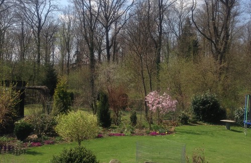 Jurgenohl Apartment | Sonnenblick Harz/Goslar