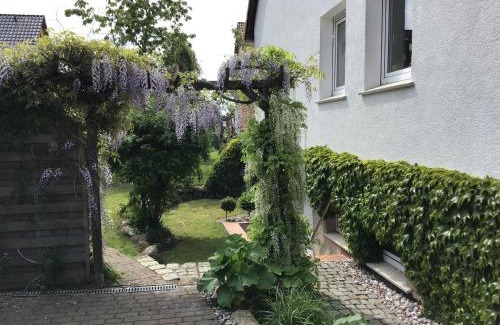 Sassnitz Apartment | Sonnige Souterrain-Ferienwohnung