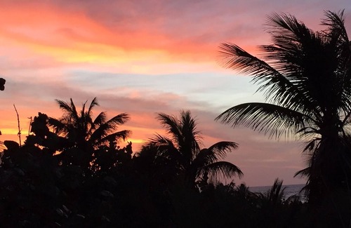 West End Apartment | Sonscape - an Island Paradise Swaying Palms, Tropical Breezes