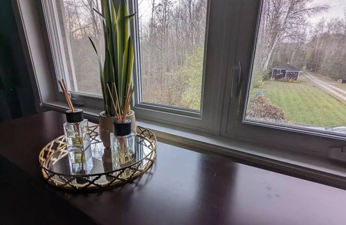 Springwater Cottage | Soothing 4-Season Work & Play Lakehouse