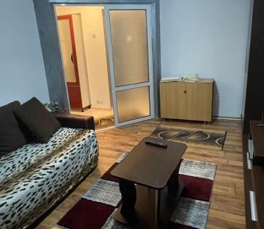 Lupeni Apartment | Sophia Lupeni Straja