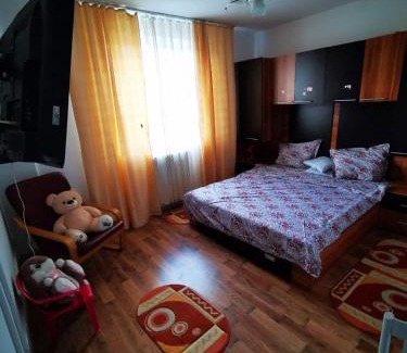 Lupeni Apartment | Sophia Lupeni Straja