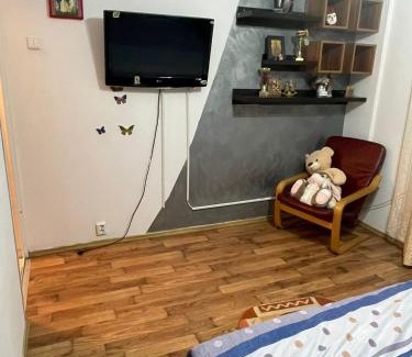 Lupeni Apartment | Sophia Lupeni Straja