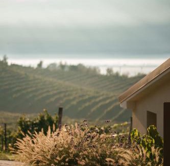 Vidor House | Sorapiana
