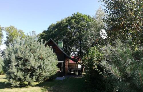 Baranow Sandomierski House | Sosnowa Oaza