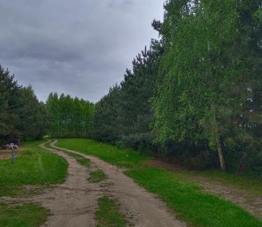 Warlubie Resort | Sosnowa Polana