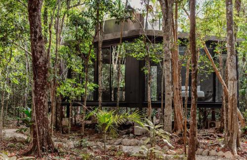 Puerto Morelos Apartment | SOTA Human Space
