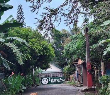 Silang Other | Sotera and Paz Forestville