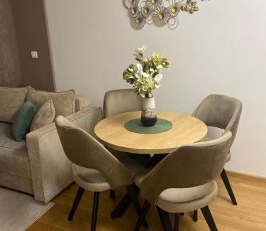 Vrnjacka Banja Apartment | Soul Apartment Vrnjačka Banja