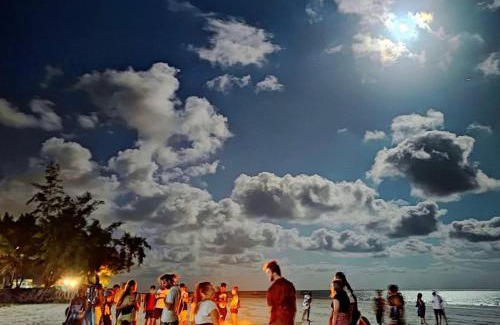 Galu Beach Hotel | Soul Breeze Beach Resort