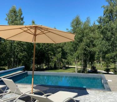 Vyzhnytsya Villa | Soul House